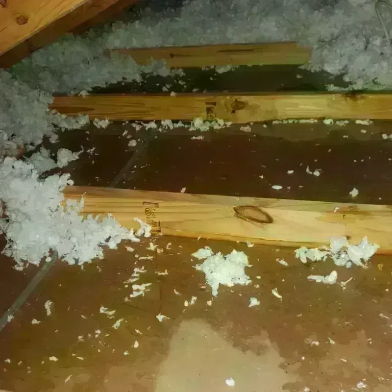 Attic Water Damage in Hiawatha, KS