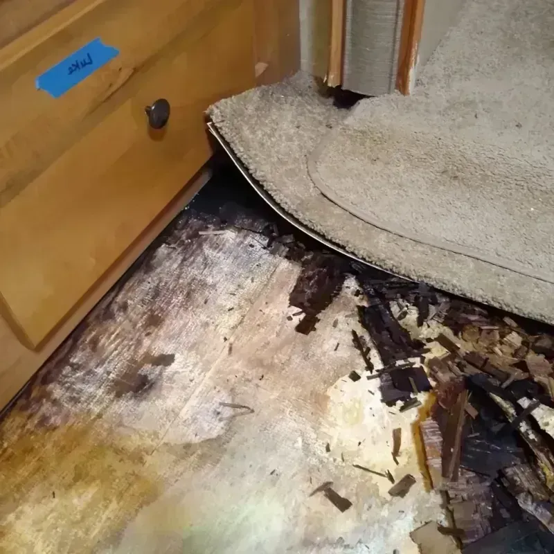 Wood Floor Water Damage in Hiawatha, KS